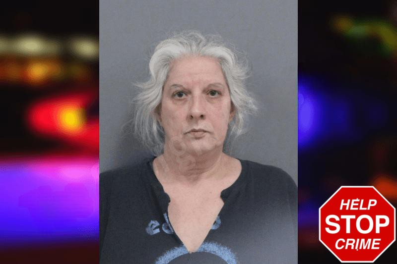 Salina Haislip Mugshots