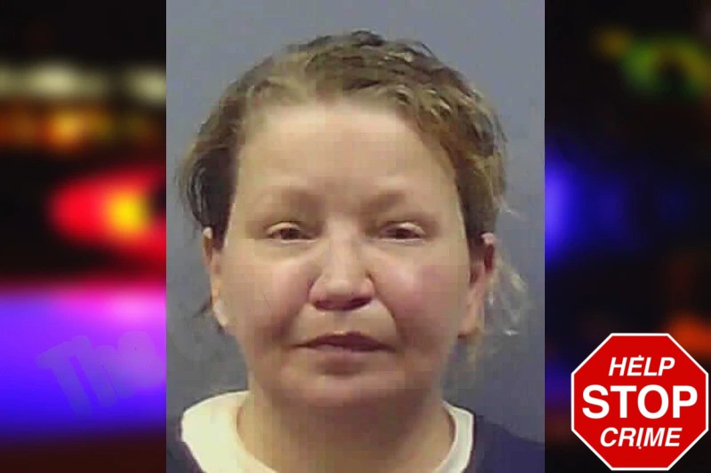 Salinna Clemons Mugshots