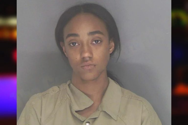 Samantha Chang mugshot – Douglas County , Georgia Samantha Chang