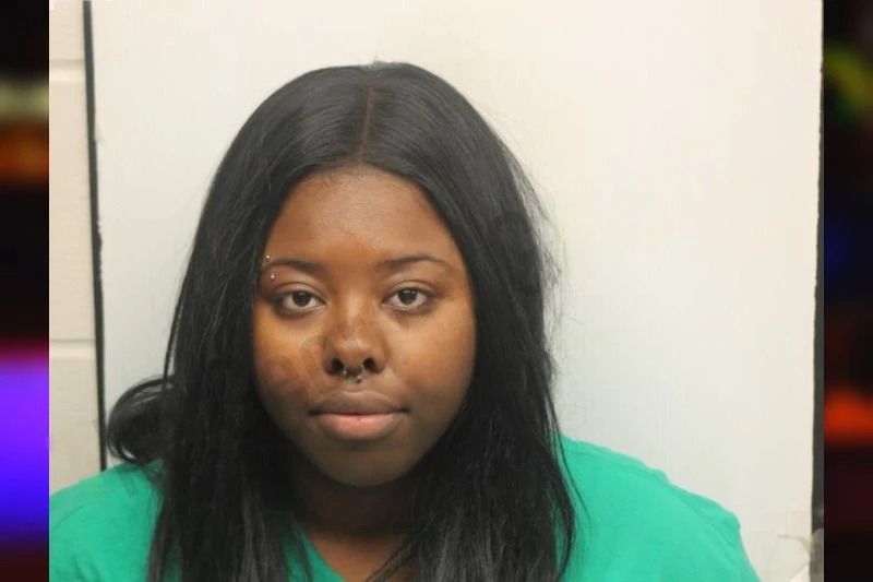 Samantha Fields Mugshots