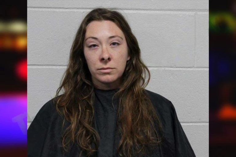 Samantha Taylor mugshot – Habersham County , Georgia Samantha Taylor