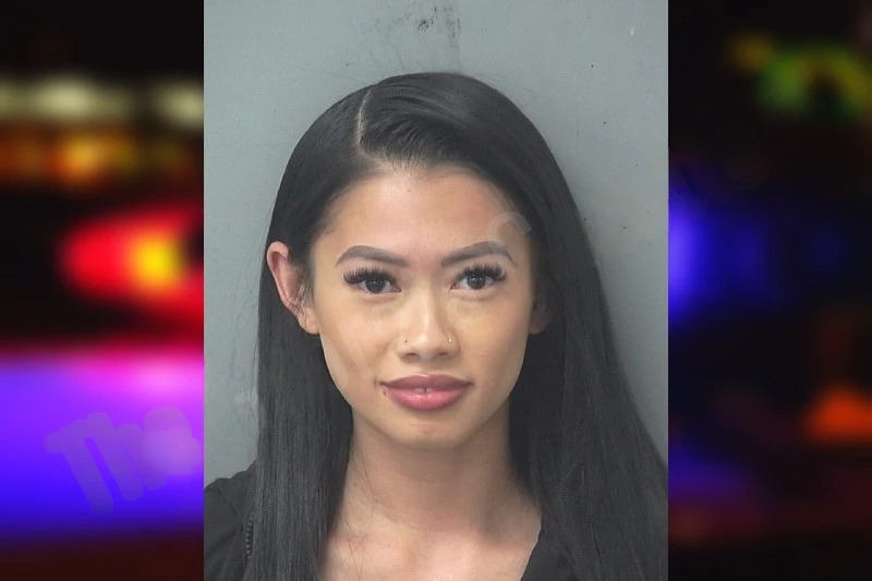 Sammi Lin Mugshots