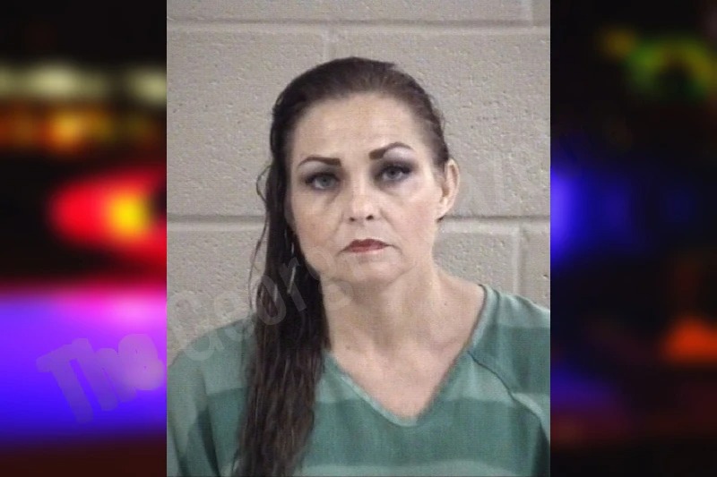 Sandra Babcock Mugshots