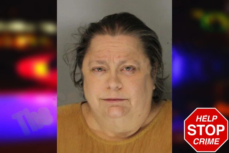 Sandra Bingham mugshot – Hall County , Georgia Sandra Bingham mugshot