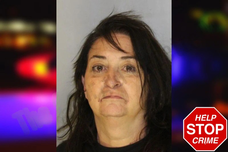 Sandra Hinkelman Mugshots