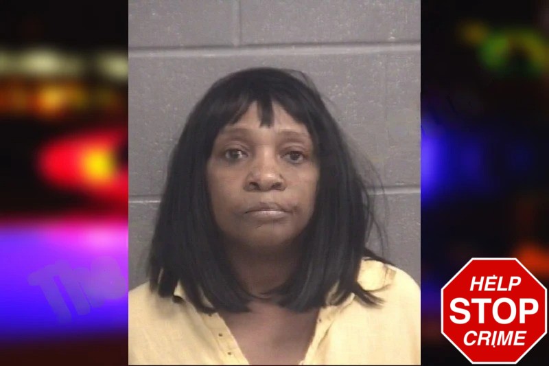 Sandra Larkins Mugshots