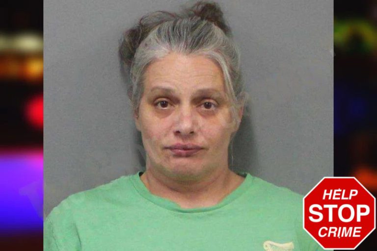 Sandra Wright mugshot – White County , Georgia Sandra Wright