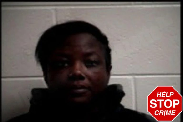 Sanocka Haddocks mugshot – Henry County , Georgia Sanocka Haddocks