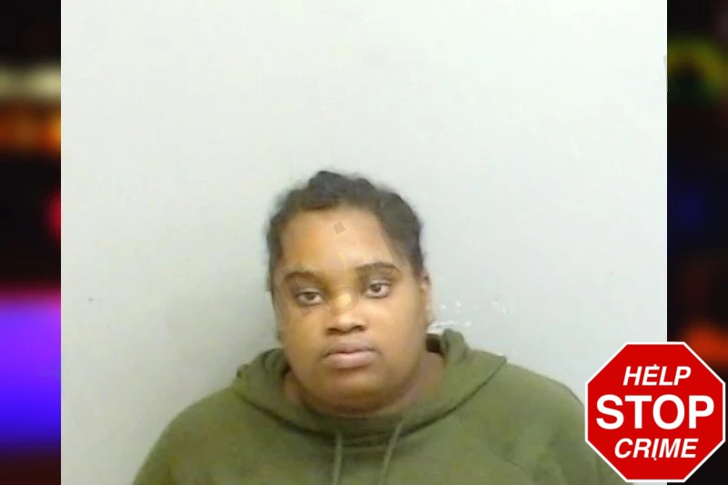 Santerri Lewis mugshot β Fulton County , Georgia Santerri Lewis mugshot