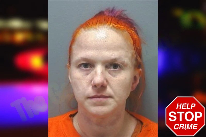 Sara McCamy Mugshots