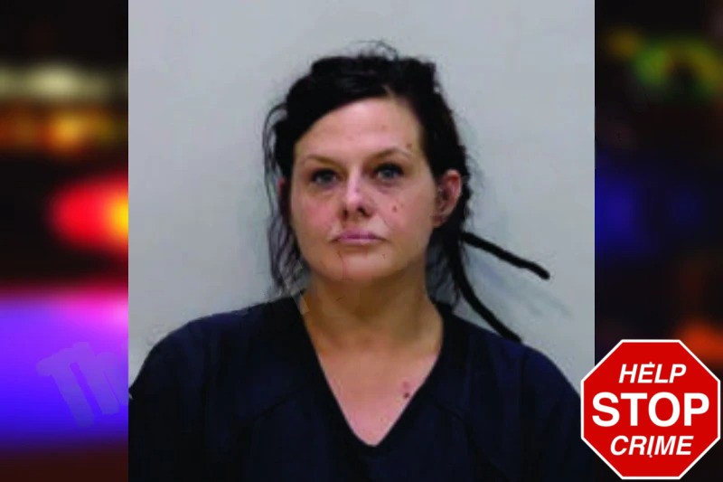 Sara Rudelich Mugshots