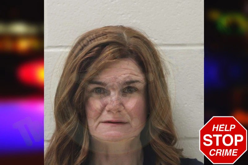 Sara Wood Mugshots