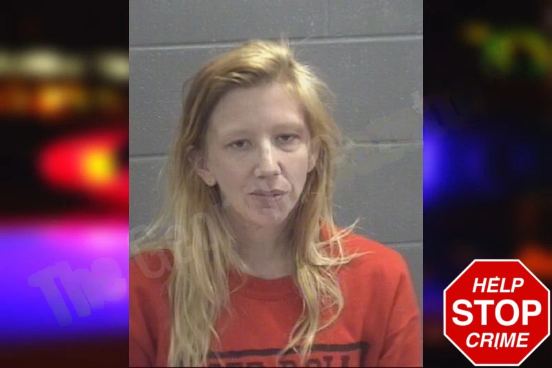 Sarah Brown Mugshots