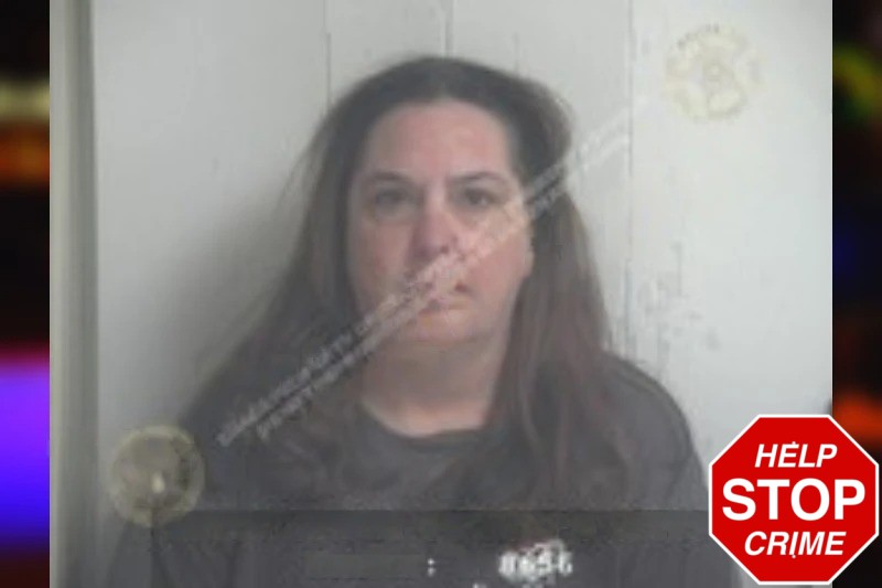 Sarah Bureau Mugshots