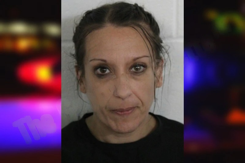 Sarah Doolin mugshot – Floyd County , Georgia Sarah Doolin mugshot