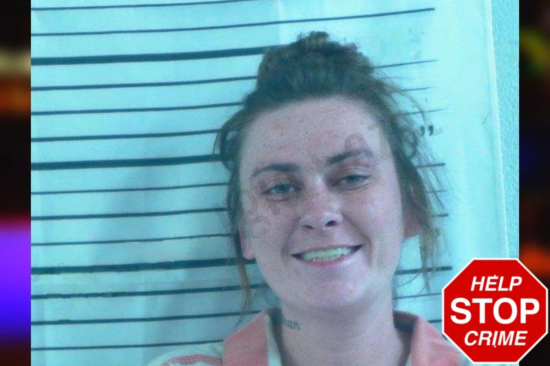 Sarah Hill Mugshots