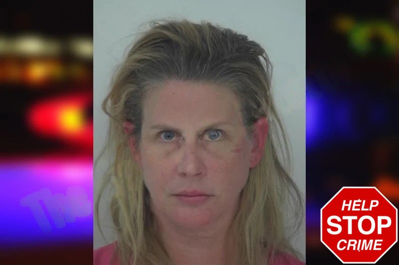 Sarah Kamal mugshot – Fayette County , Georgia Sarah Kamal mugshot