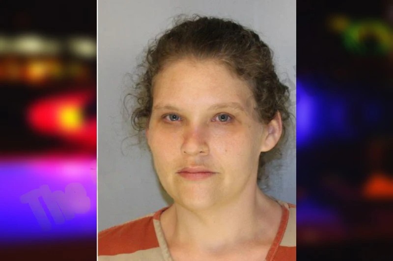 Sarah Pilcher Mugshots