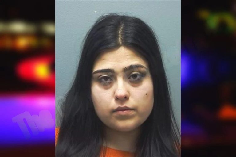 Sarina Naghipouramirzadi mugshot – Cherokee County , Georgia Sarina Naghipouramirzadi