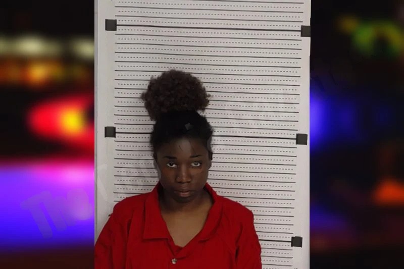 Sasha Levon Mugshots