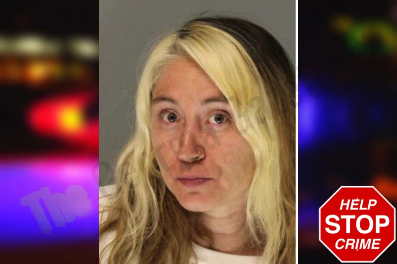 Sasha Robles-Fernandez Mugshots