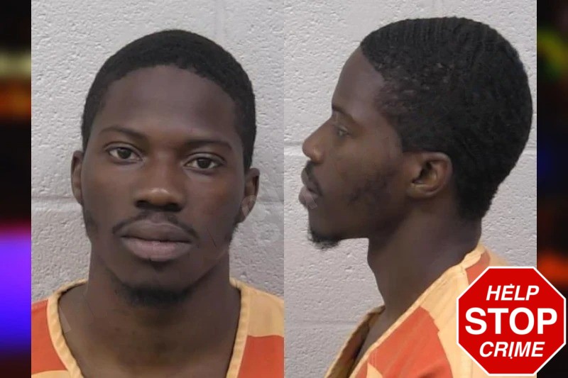 Schleiden Telfort mugshot