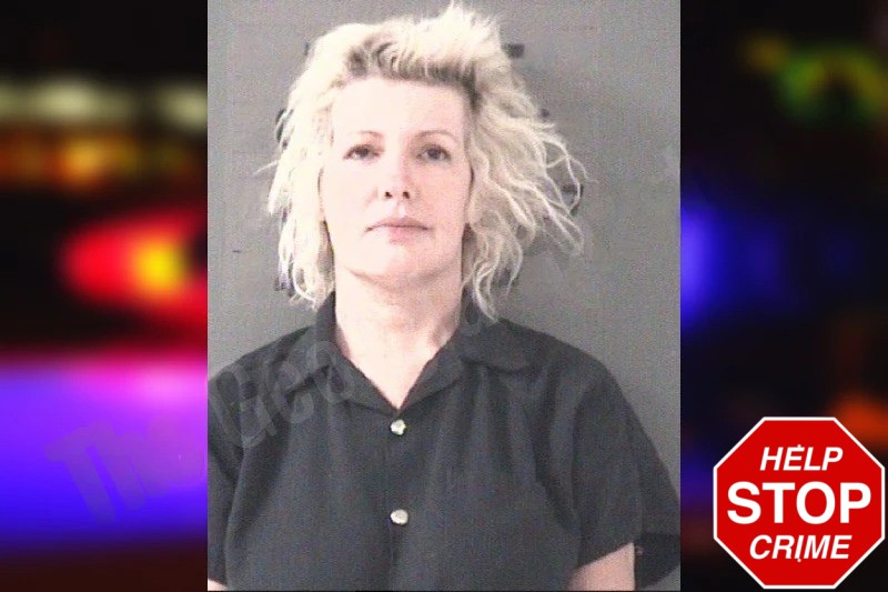 Selina Hill Mugshots