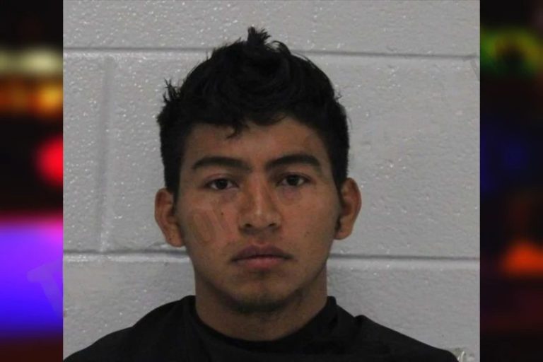 Selvin Gonzales-Garcia mugshot – Carroll County , Georgia Selvin Gonzales-Garcia