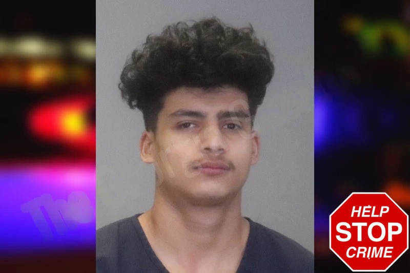 Sergio Delgardo Mugshots