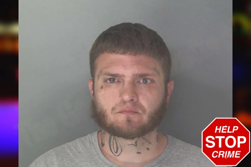 Seth McManus Mugshots