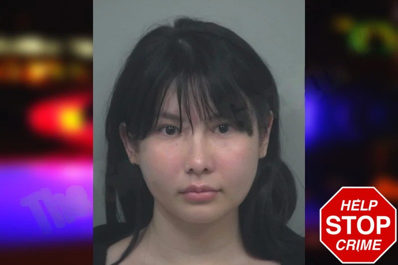 Seulah Lee Mugshots
