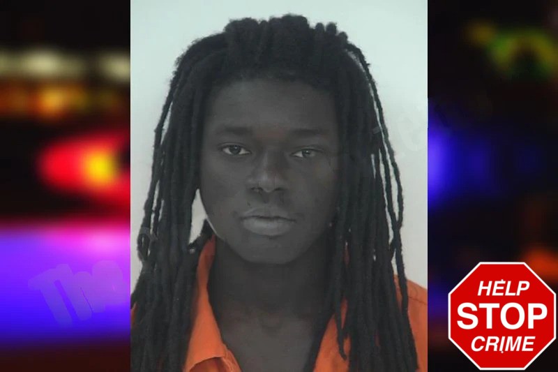 Seydina Mbengue Mugshots