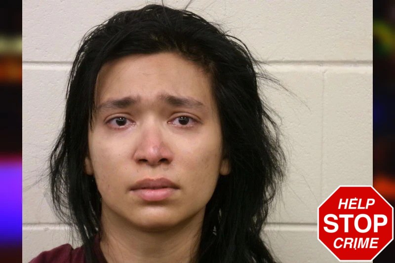 Shabnam Wahed Mugshots