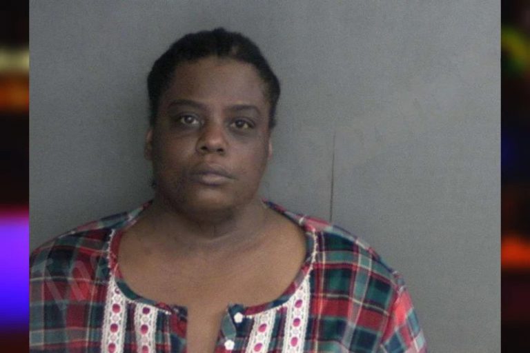 Shalanda Conway mugshot – Twiggs County , Georgia Shalanda Conway