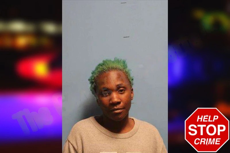 Shaneika Smith Mugshots