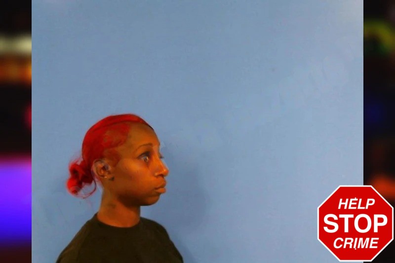 Shania Richardson Mugshots