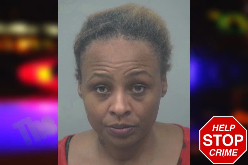 Shanika Johnson mugshot – Gwinnett County , Georgia Shanika Johnson mugshot