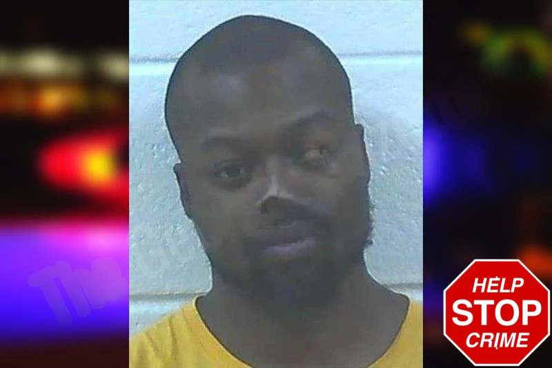 Shannon Brown Mugshots