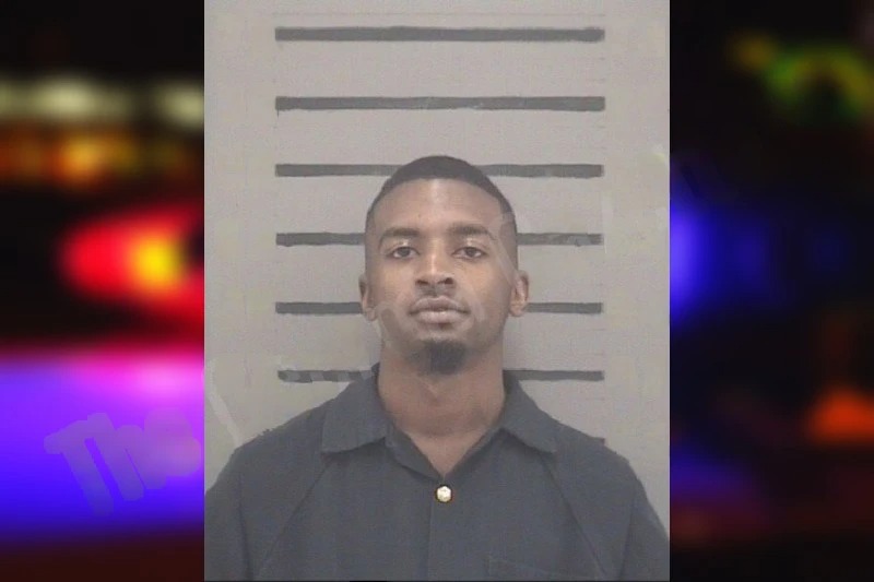 Shannon McLloyd Mugshots