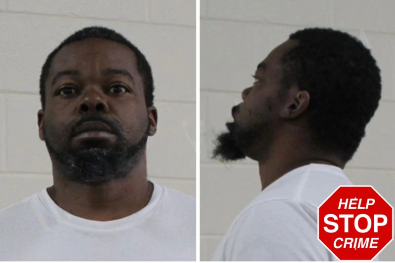 Shannon Williams Mugshots