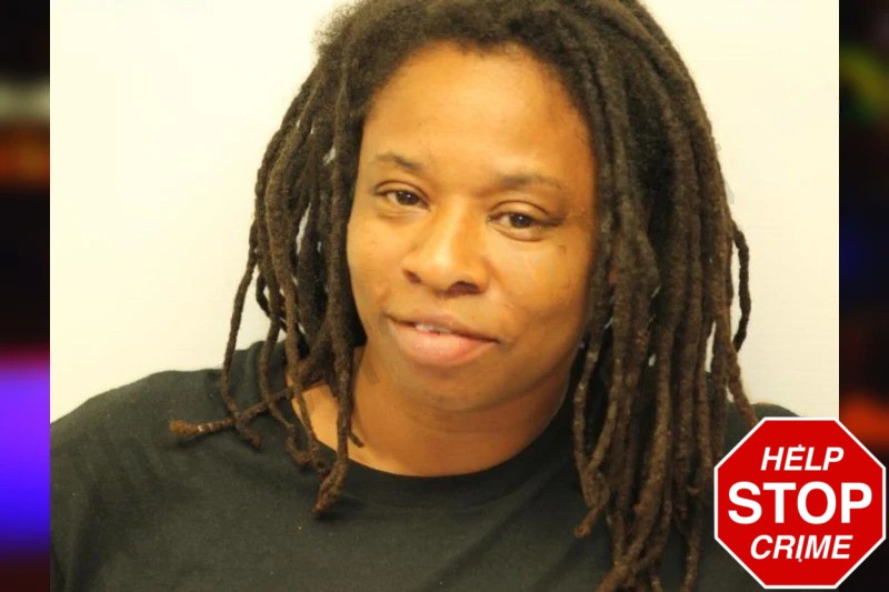 Shaquita Mitchell Mugshots