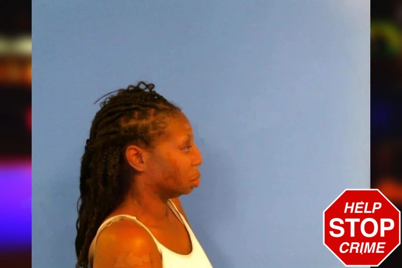 Shaquita Scott Mugshots