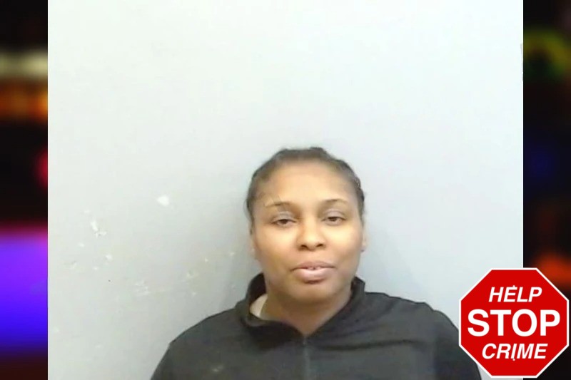 Sharess Johnson mugshot – Fulton County , Georgia Sharess Johnson mugshot