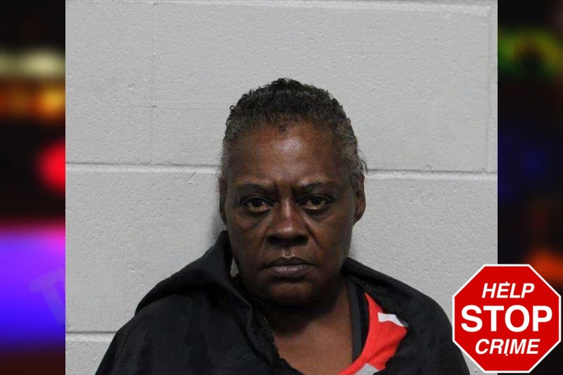 Sharon King Mugshots