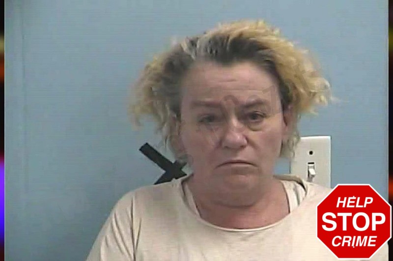 Sharon Wilson Mugshots