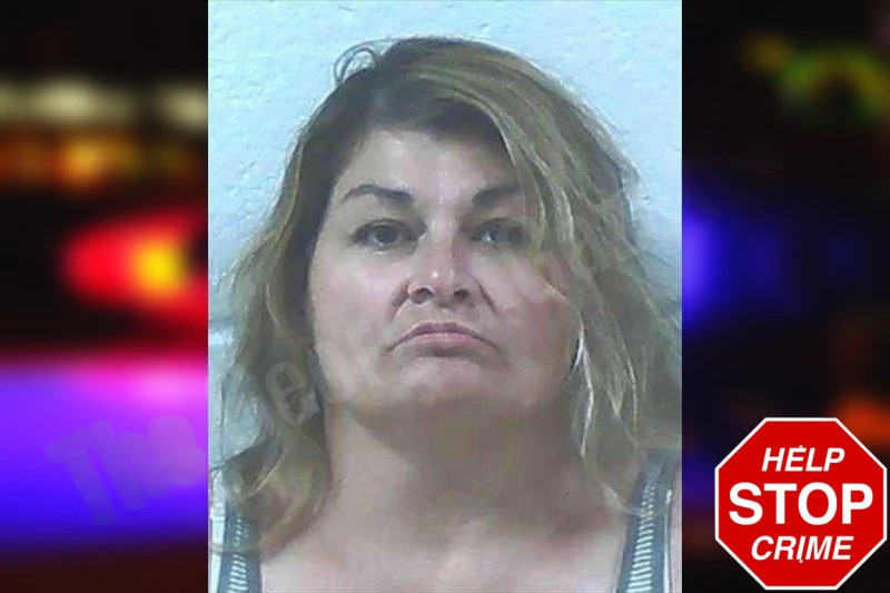 Shawndra Holley Mugshots