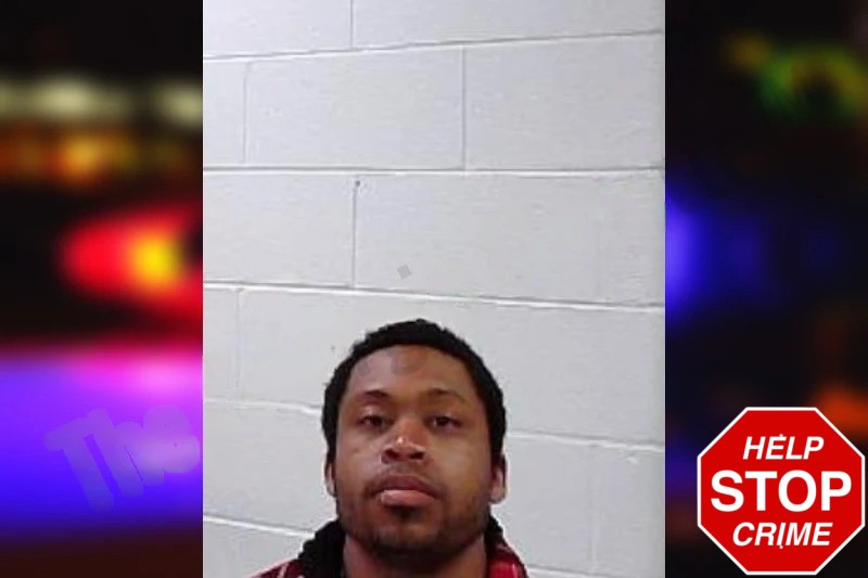 Shea Wilson Mugshots