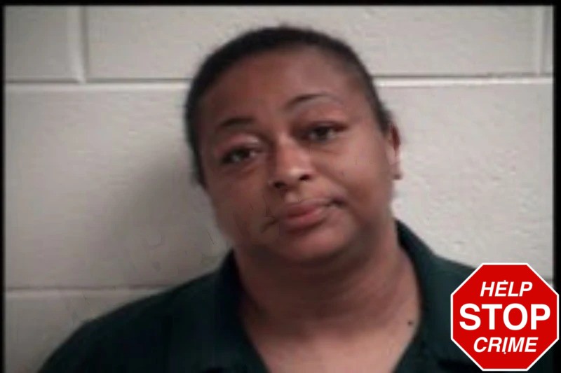 Shebrika Burns mugshot – Henry County , Georgia Shebrika Burns mugshot