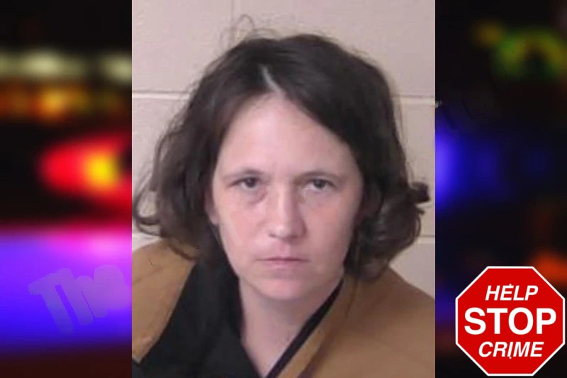 Sheena Johnson Mugshots