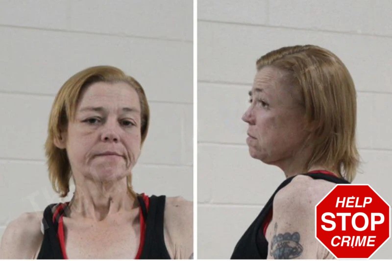 Sheila Dunzee Dewberry Mugshots